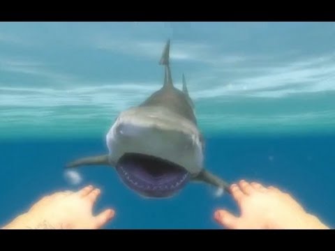 How to hunt sharks in far cry 3 free
